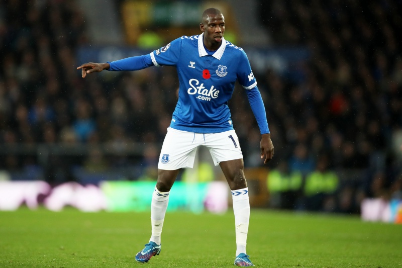 Everton FC v Brighton & Hove Albion - Premier League