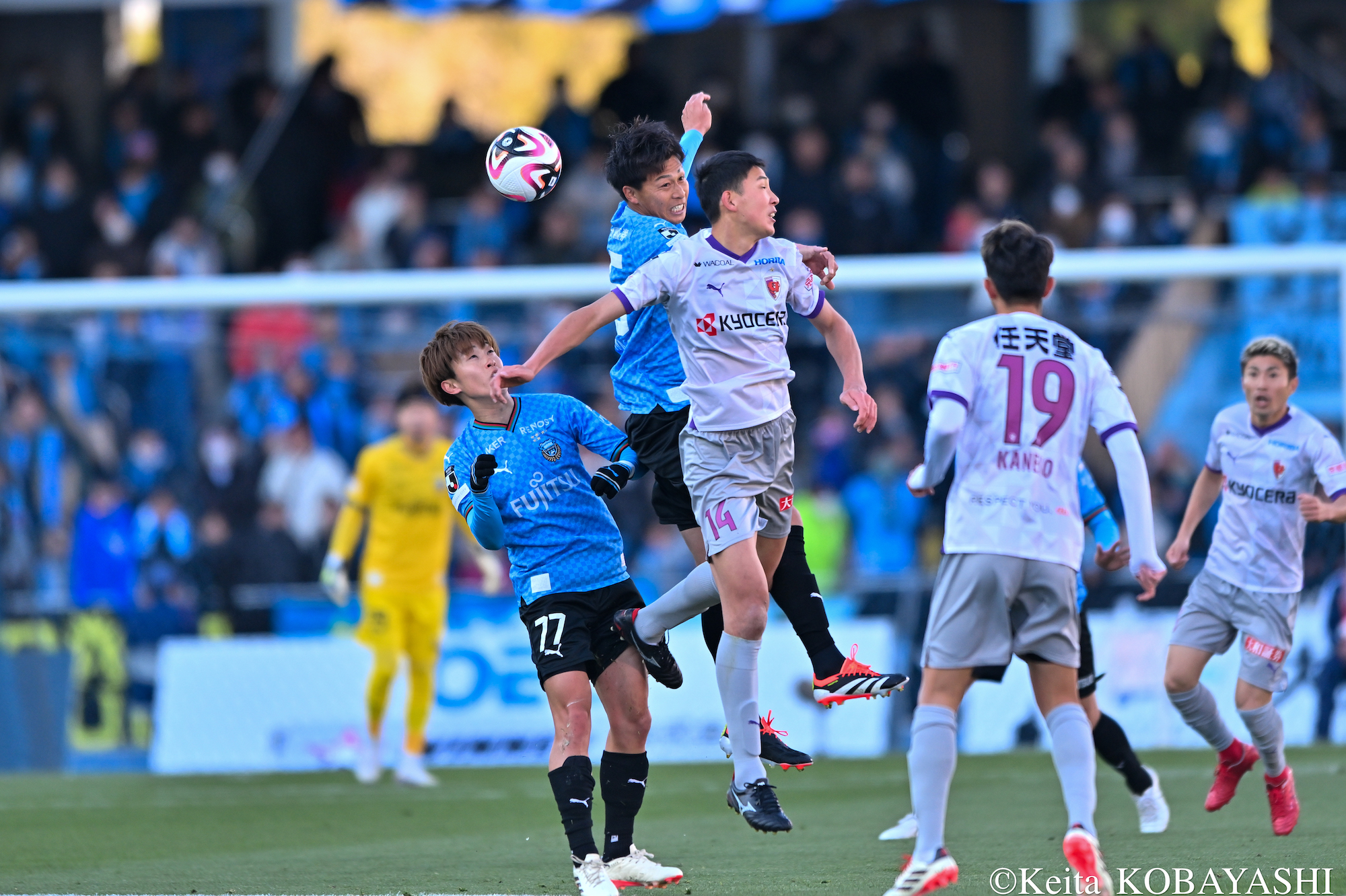 DSC_6490のコピー