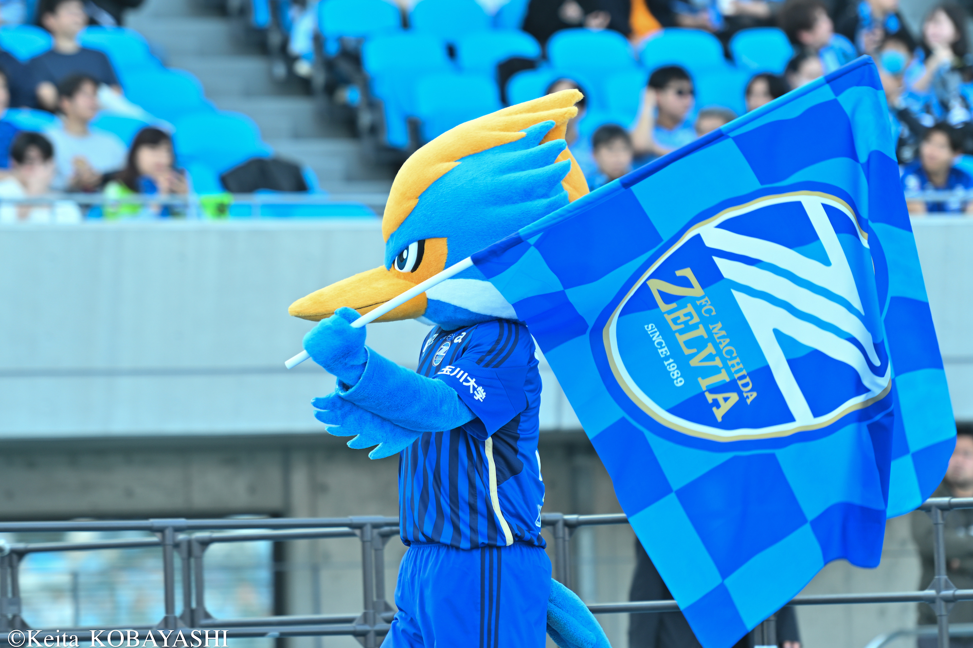 DSC_0845のコピー