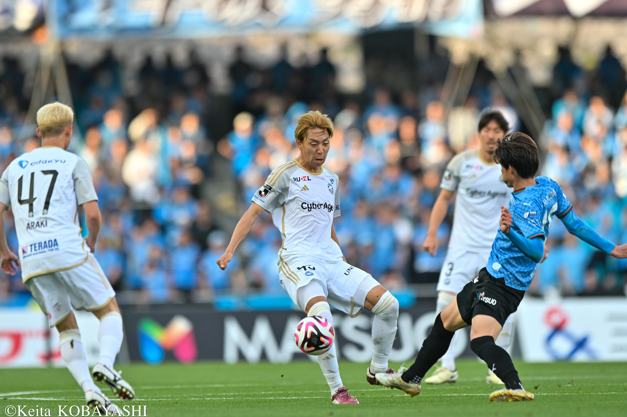 DSC_2053のコピー