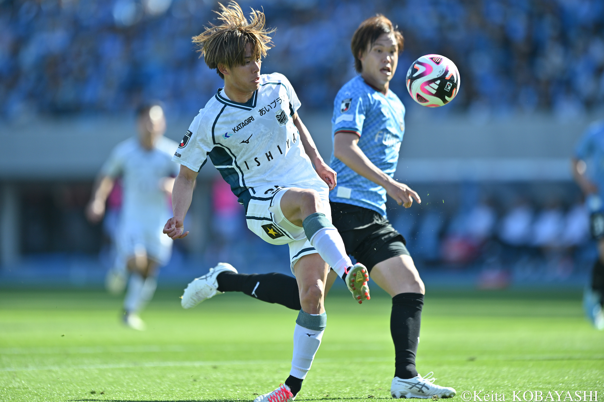 DSC_3488のコピー