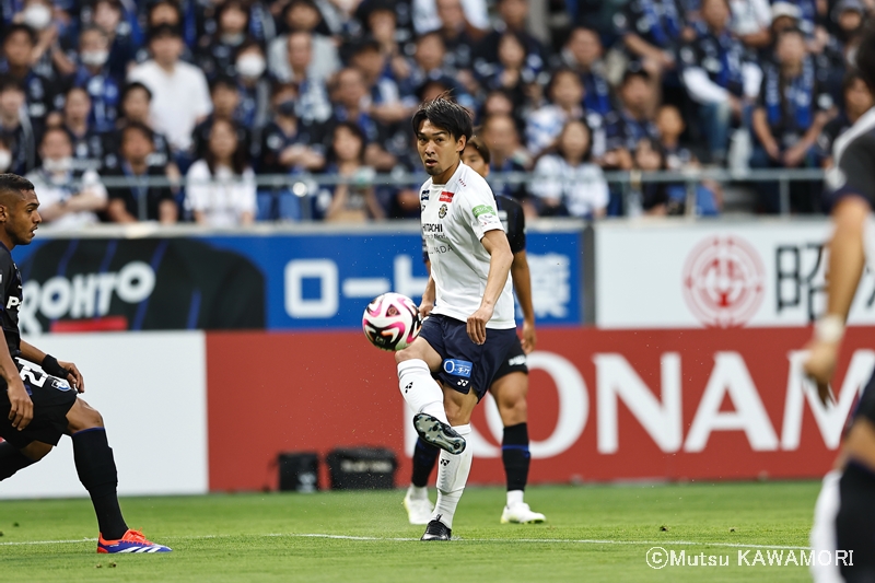 Gamba_Kahiswa_240616_0013_