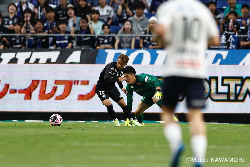 Gamba_Kahiswa_240616_0033_