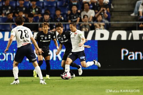 Gamba_Kahiswa_240616_0048_