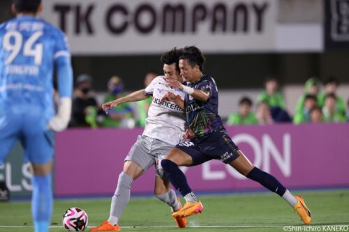 batch_2024.06.30_008_kaneko