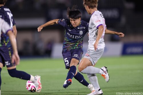 batch_2024.06.30_010_kaneko