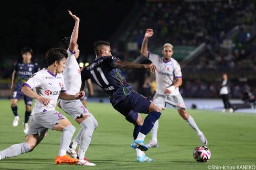 batch_2024.06.30_025_kaneko