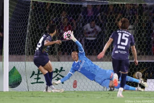 batch_2024.06.30_031_kaneko