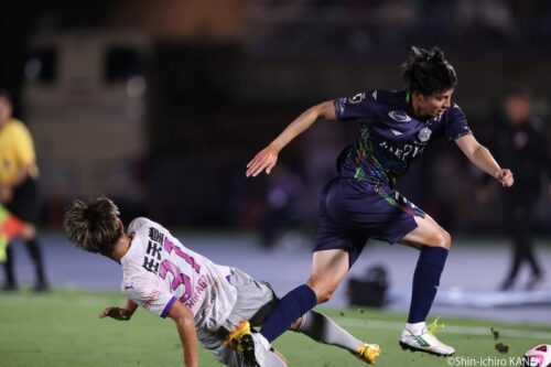 batch_2024.06.30_047_kaneko