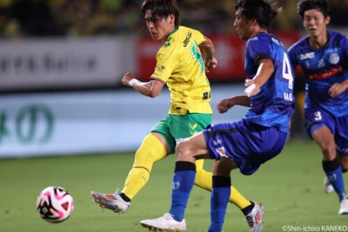 batch_2024.09.07_33_kaneko