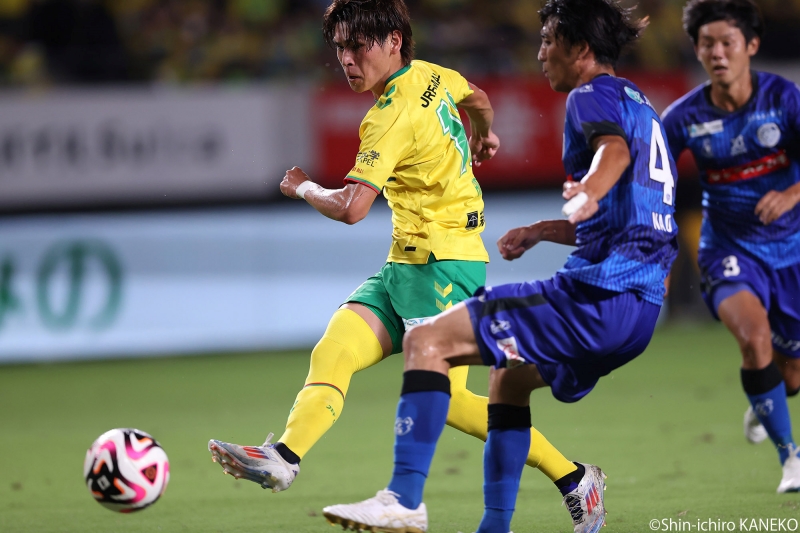 batch_2024.09.07_33_kaneko