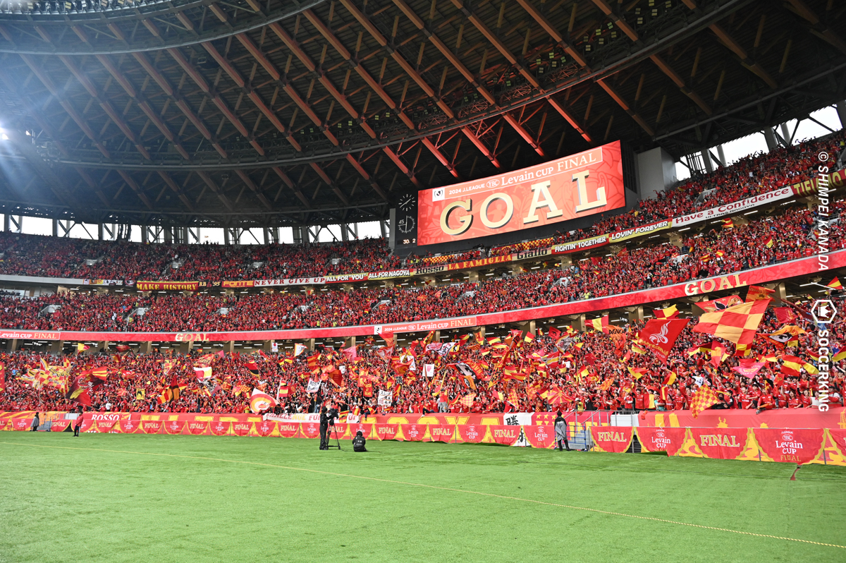 アルビレックス新潟　ルヴァンカップFINALモデル 2ndユニフォーム　Mサイズ アルビレックス新潟ルヴァンカップFINALモデル 2ndユニフォームMサイズ