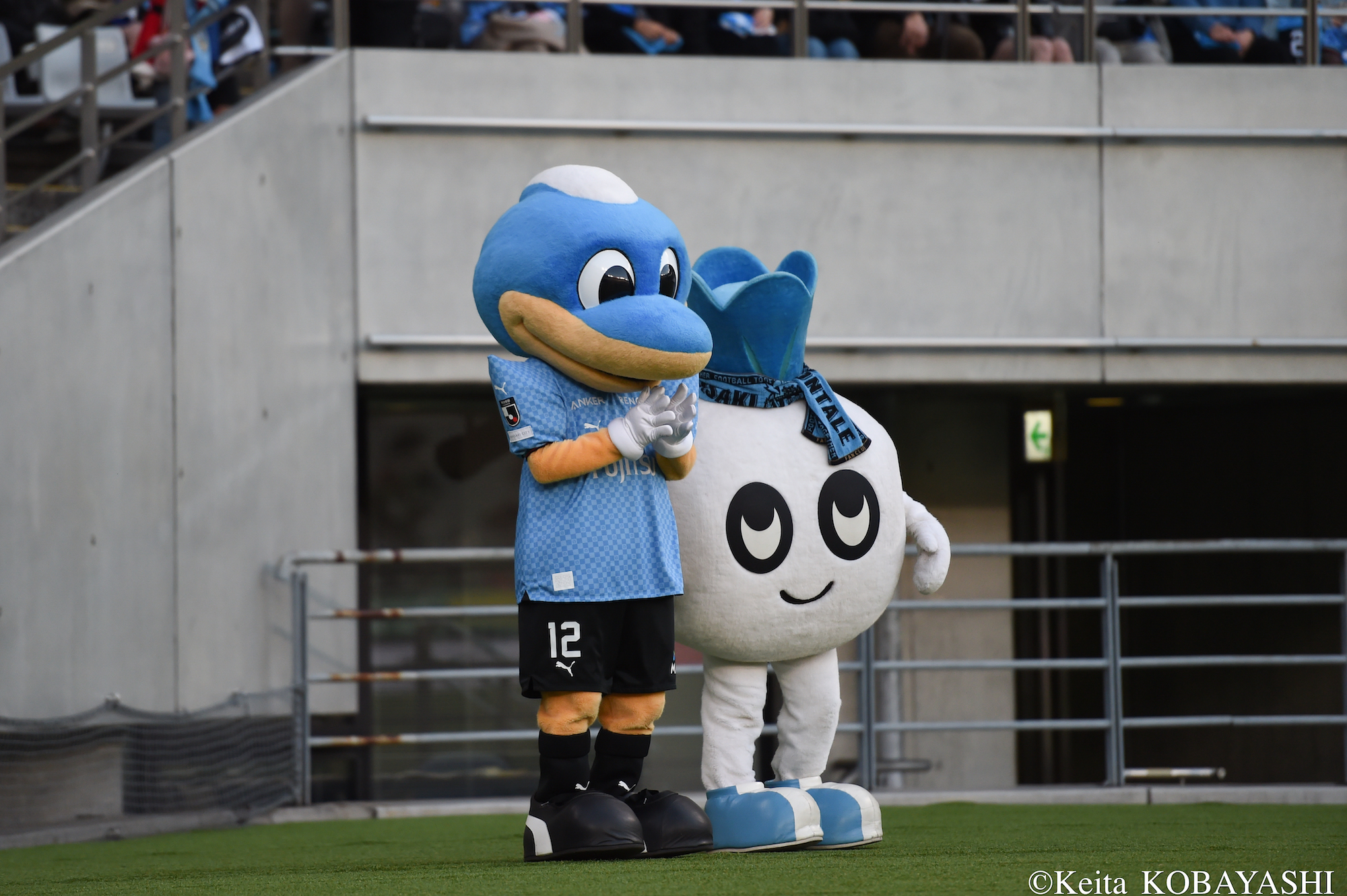 DSC_8610のコピー