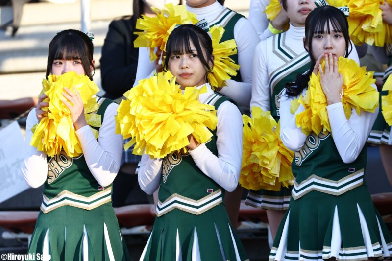 batch_20241231-1__1411