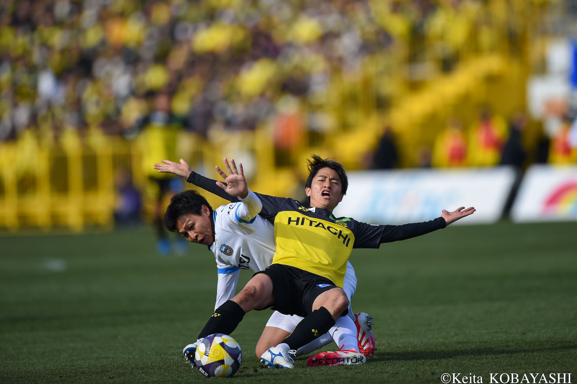 DSC_1022のコピー