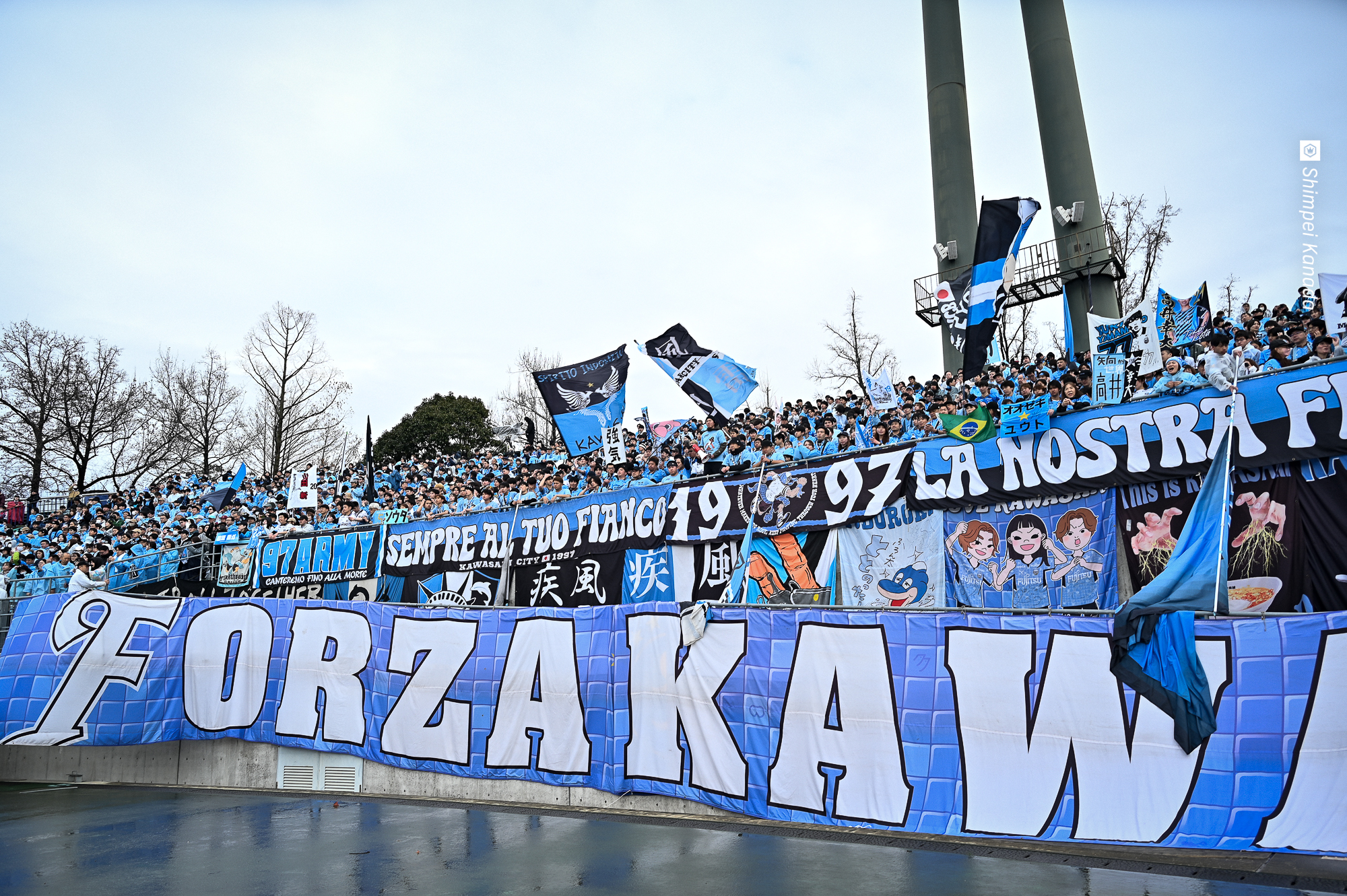 41_Z6A_3879
