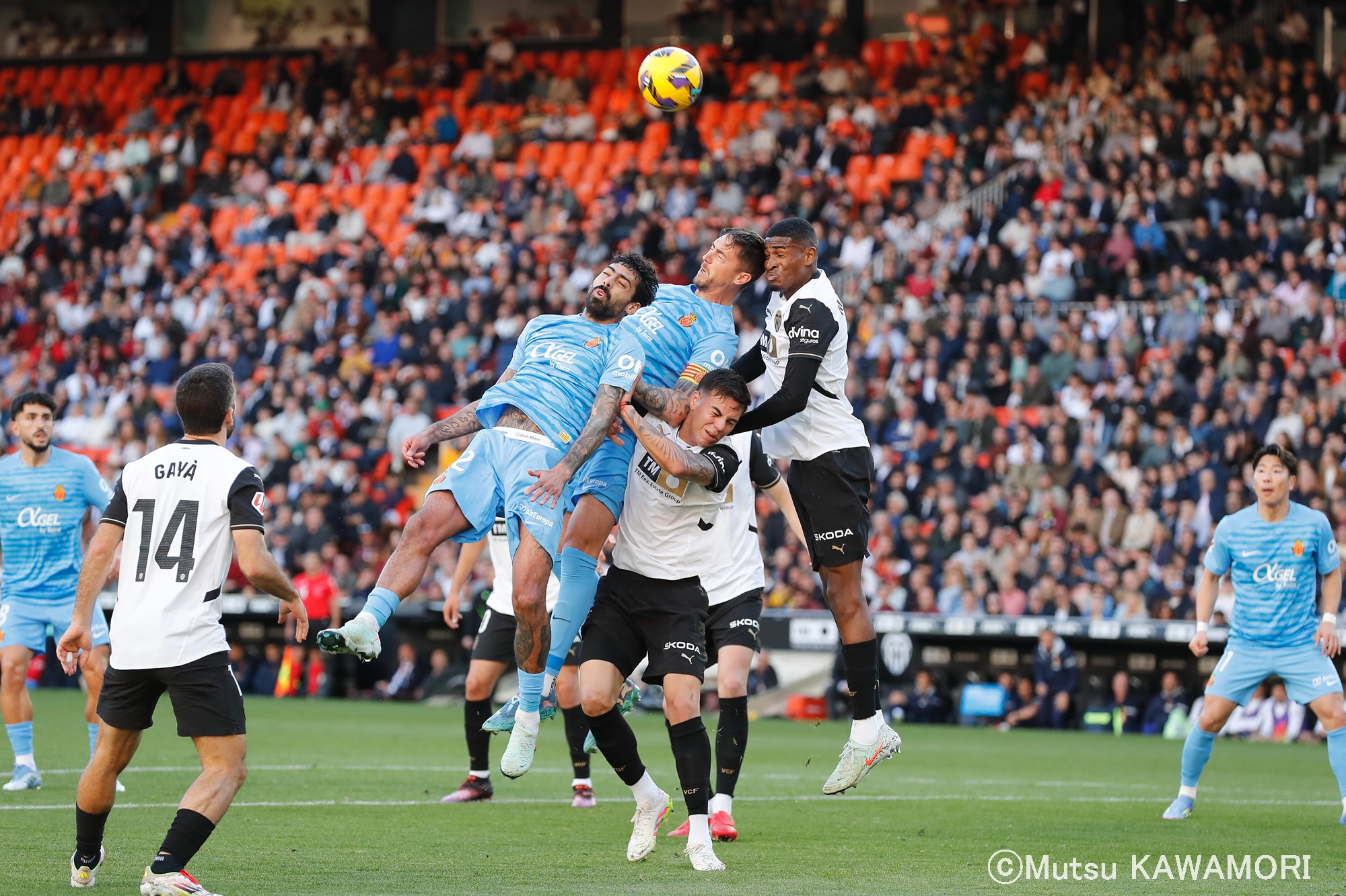 Please do not reproduce without prior permission.