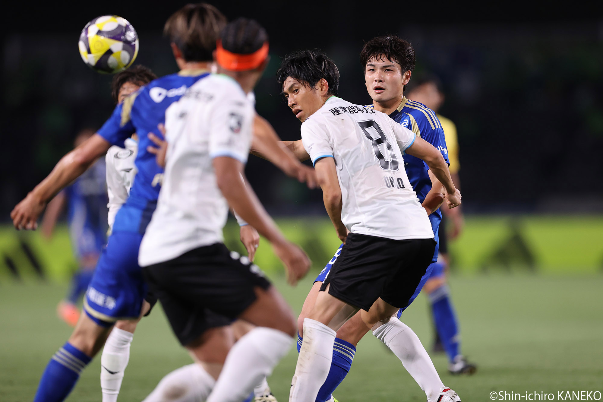 2025.04.25_41_kaneko