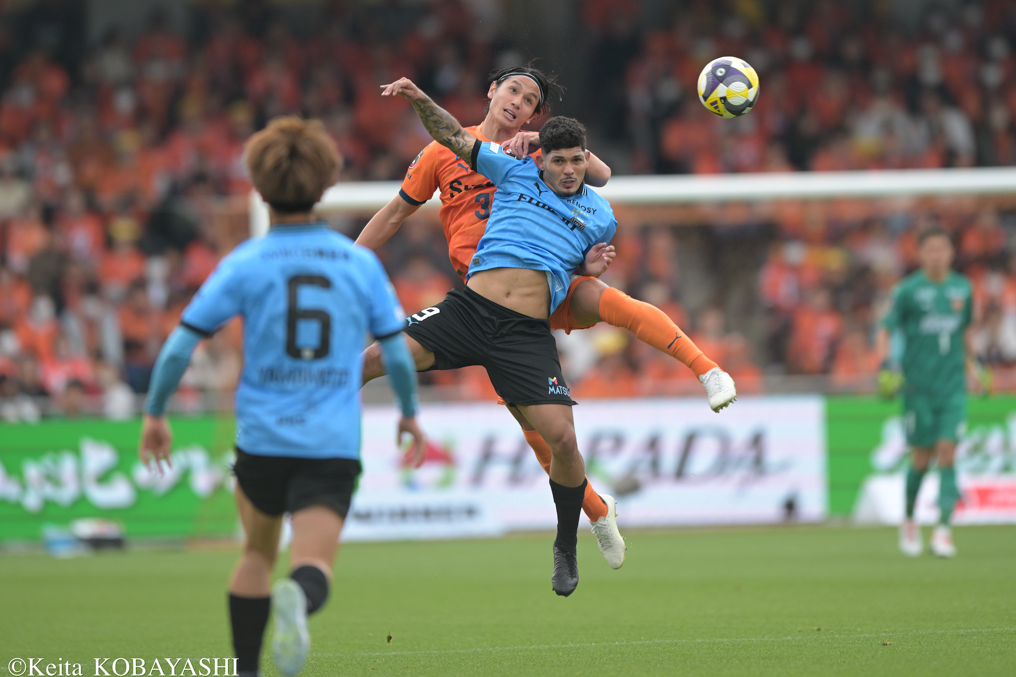 DSC_8046のコピー