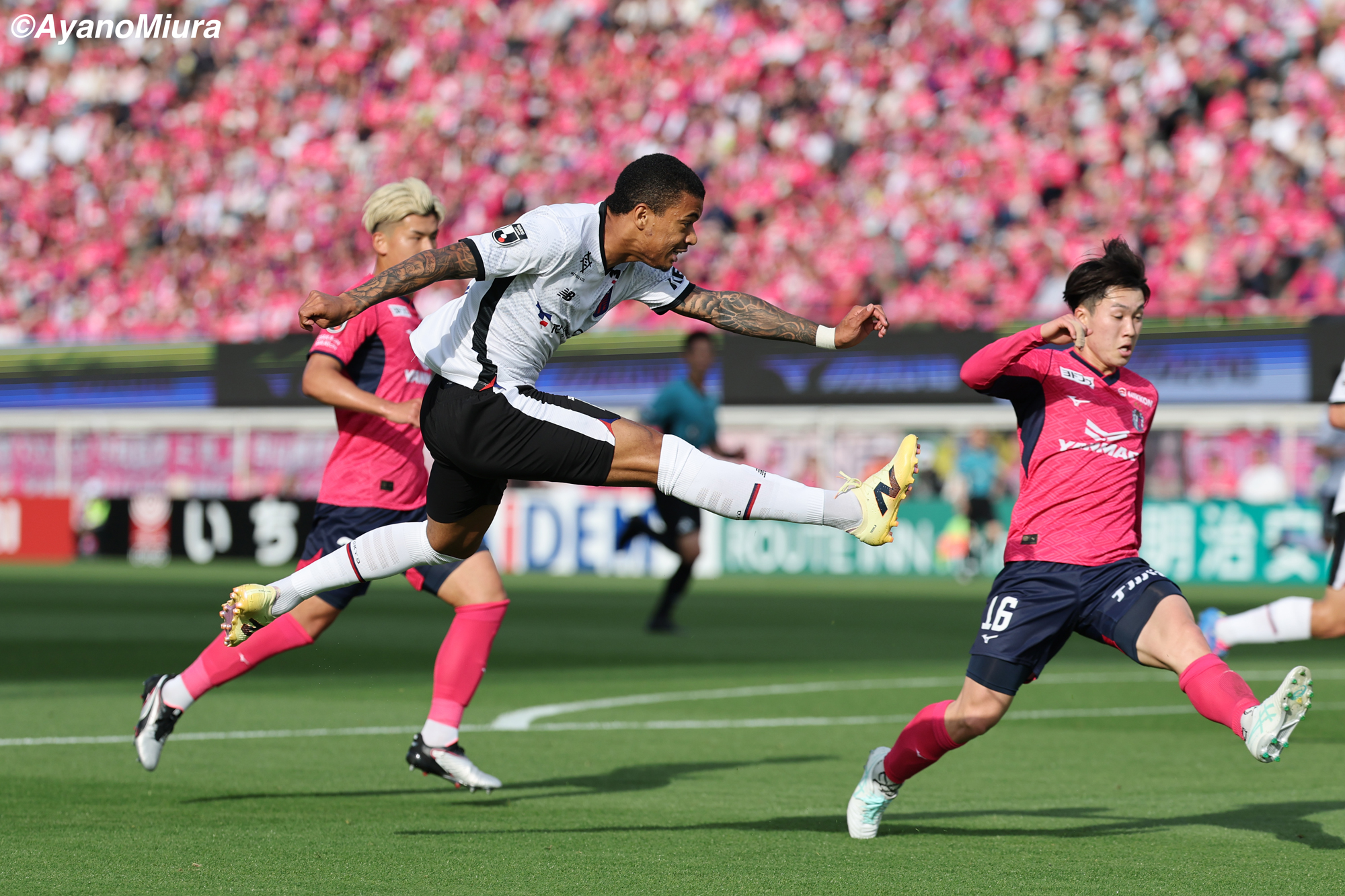AyanoMiura_20250420_0057