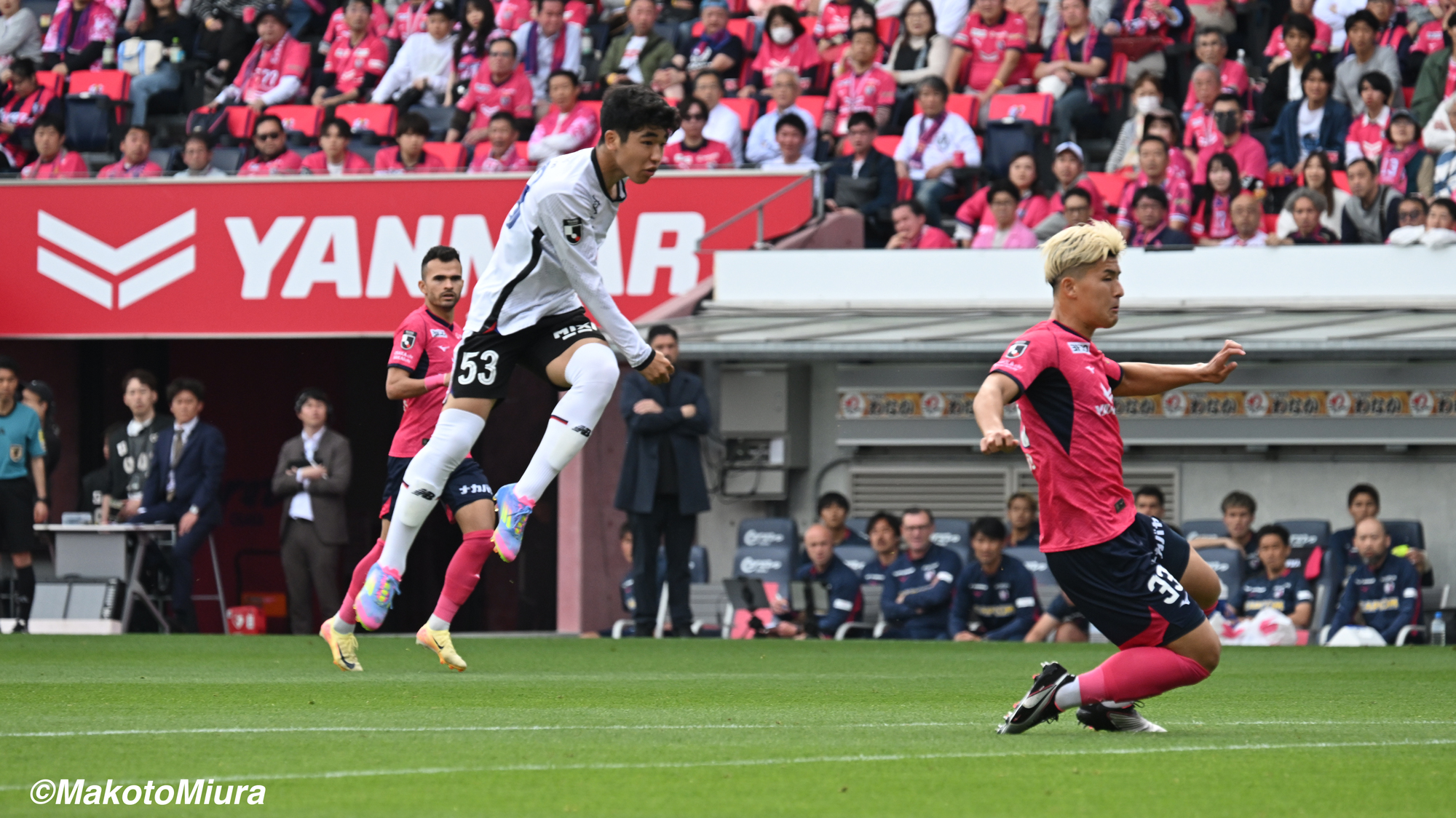 MakotoMiura_20250420_0206