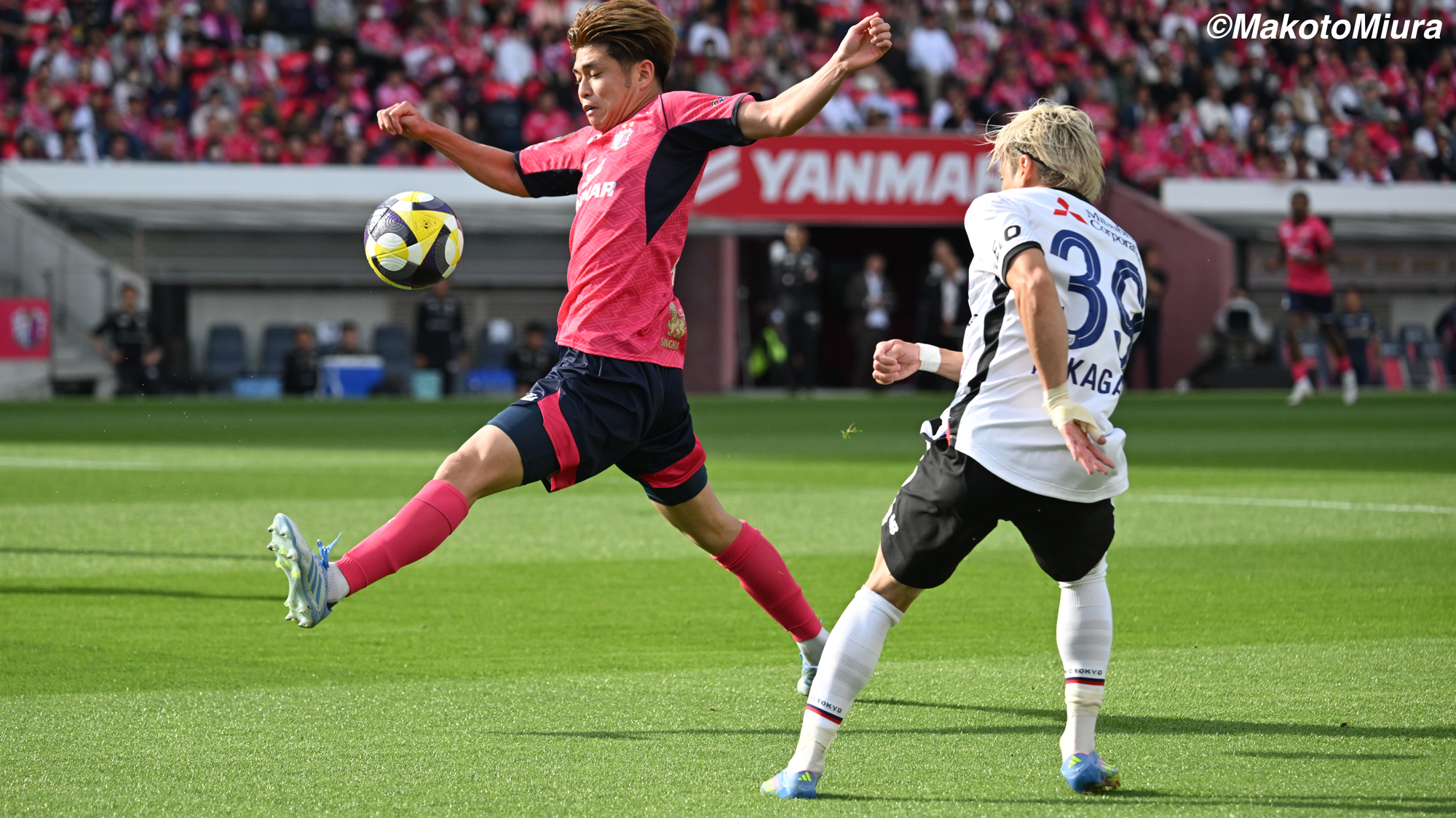 MakotoMiura_20250420_0219
