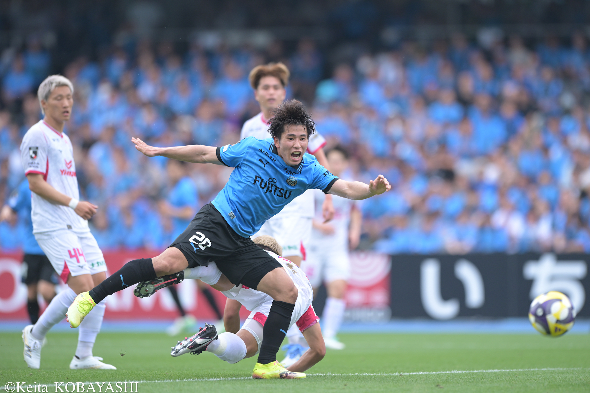 DSC_8583のコピー