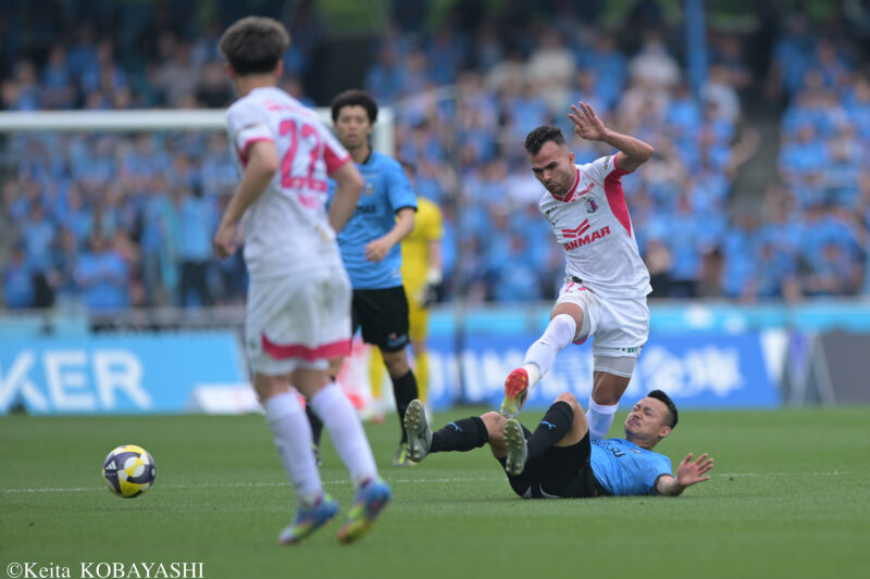 DSC_8519のコピー