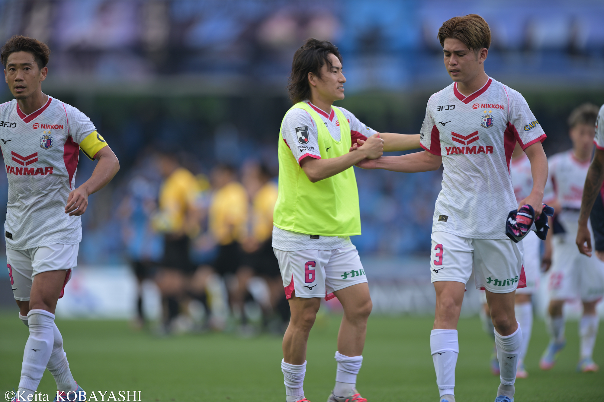 DSC_9172のコピー