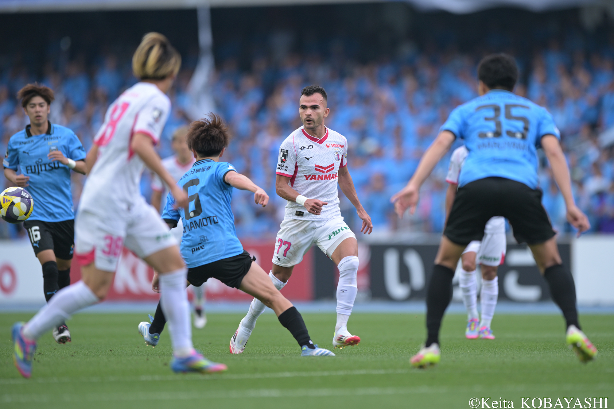 DSC_8986のコピー