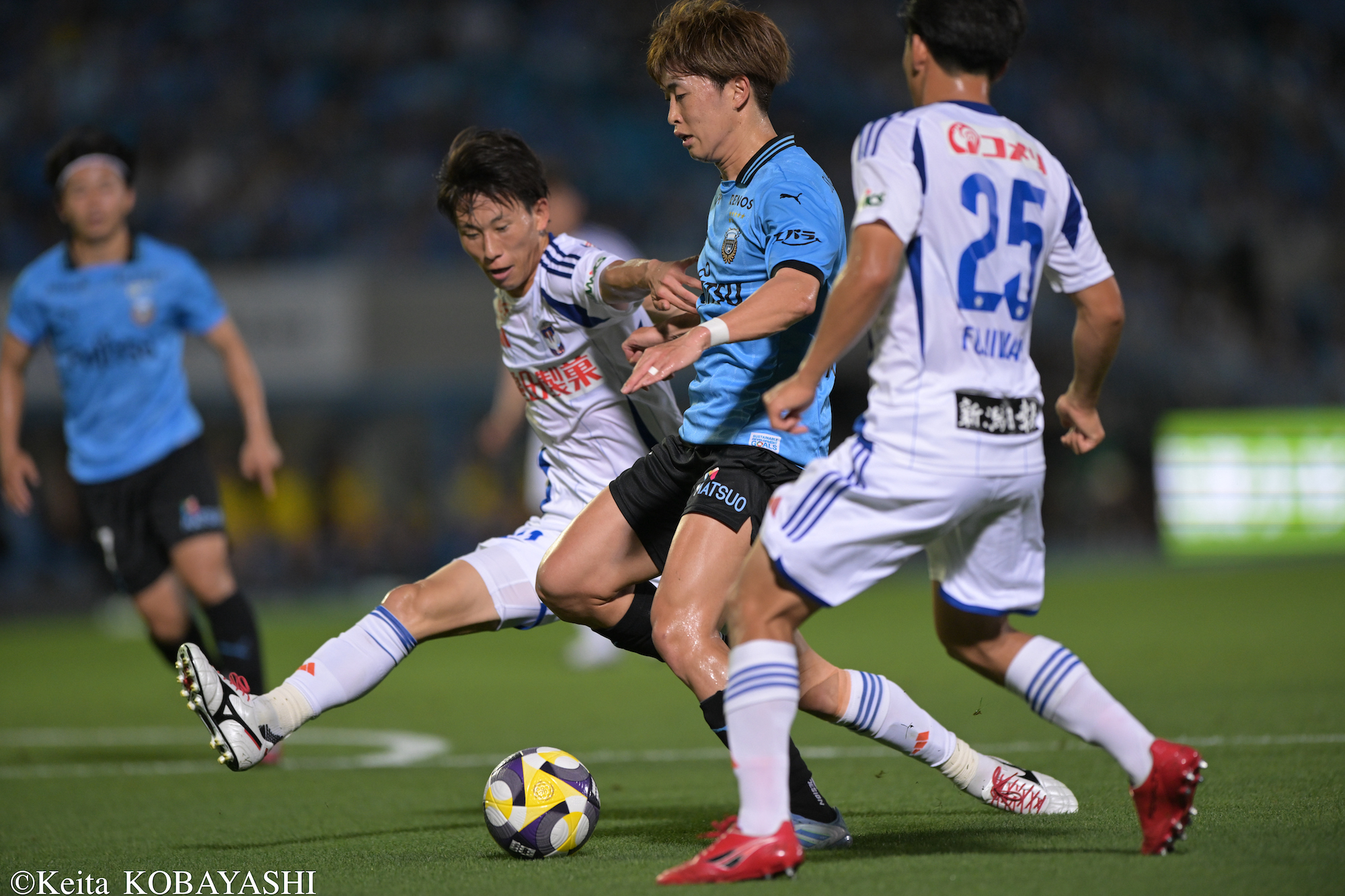 DSC_2352のコピー