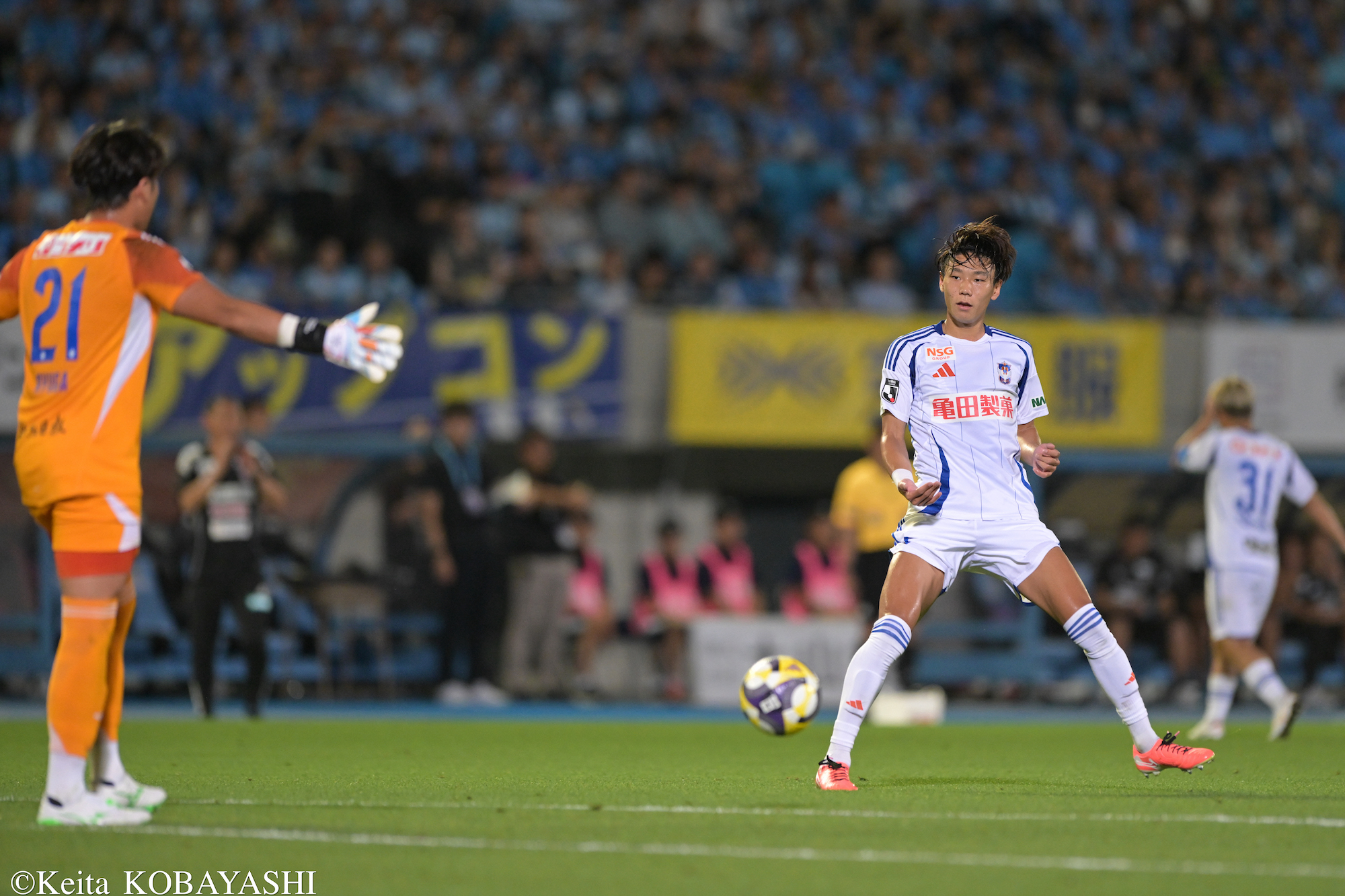 DSC_2382のコピー