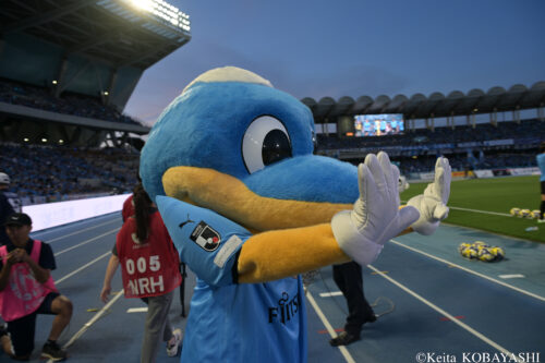 DSC_0797のコピー