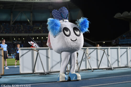 DSC_1236のコピー