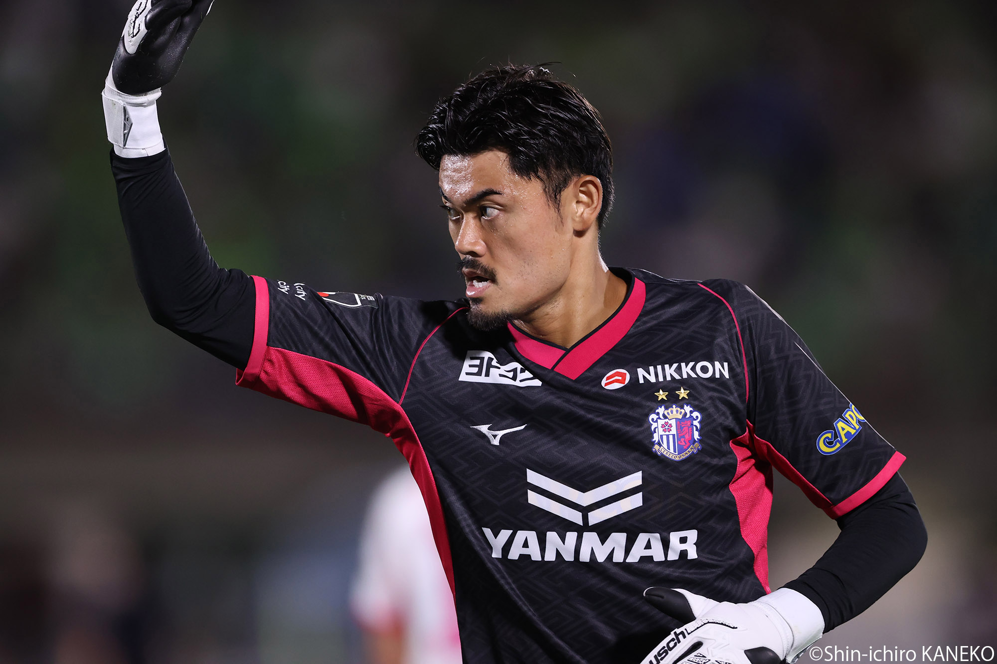 2025.07.19_11_kaneko