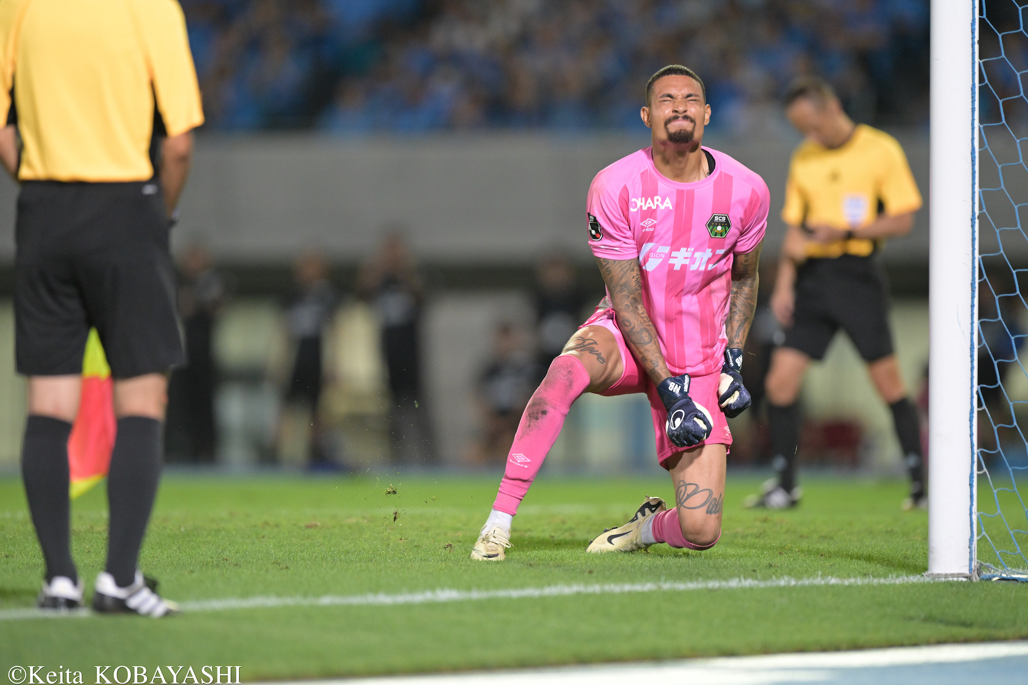 DSC_8386のコピー