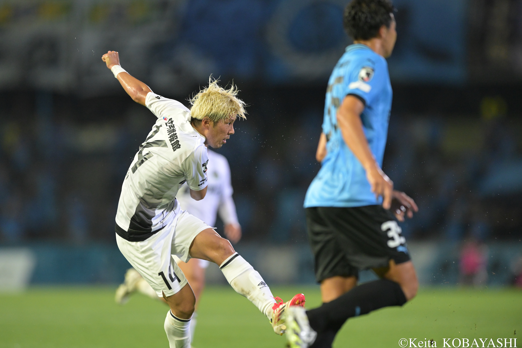 DSC_7668のコピー