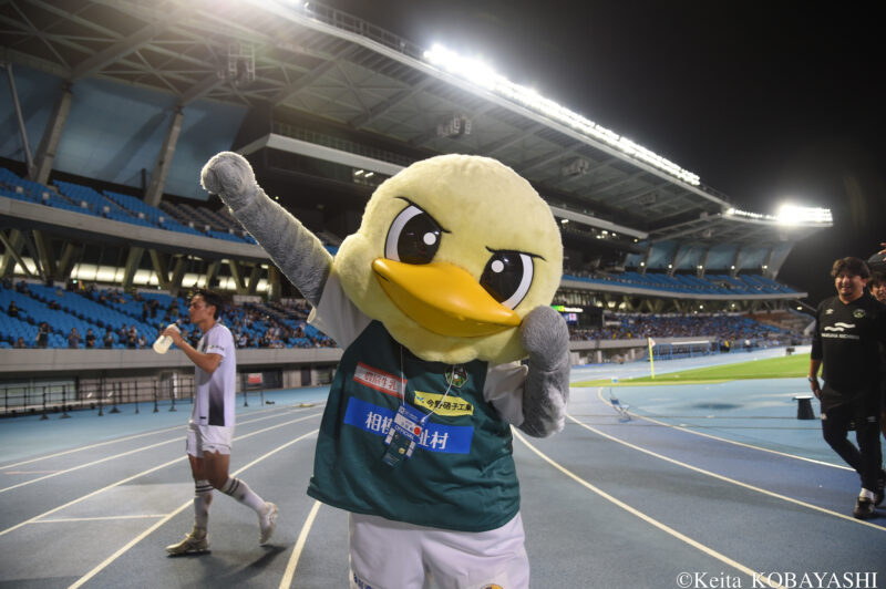 DSC_8589のコピー