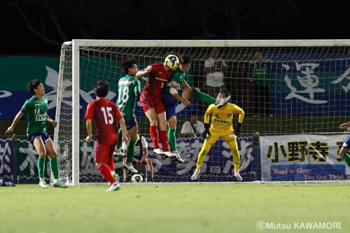 Please do not reproduce without prior permission.