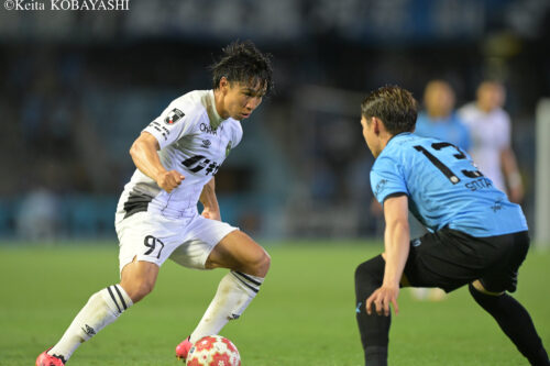 DSC_7548のコピー