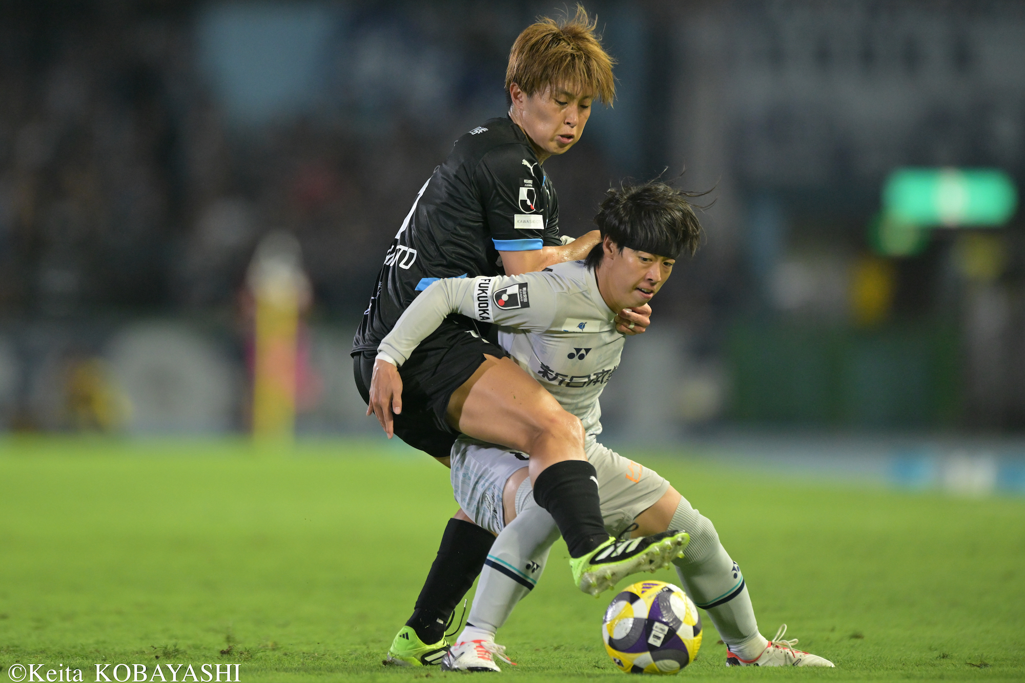 DSC_9475のコピー