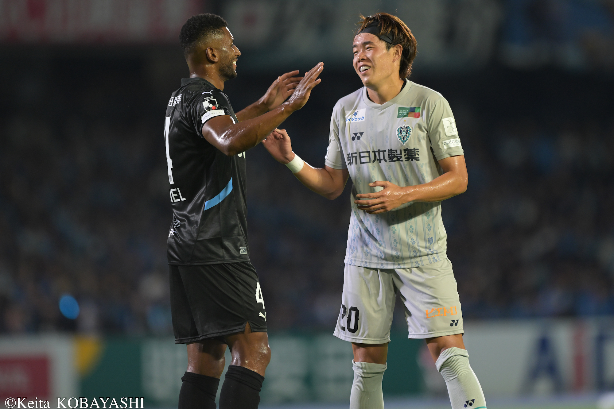 DSC_9281のコピー