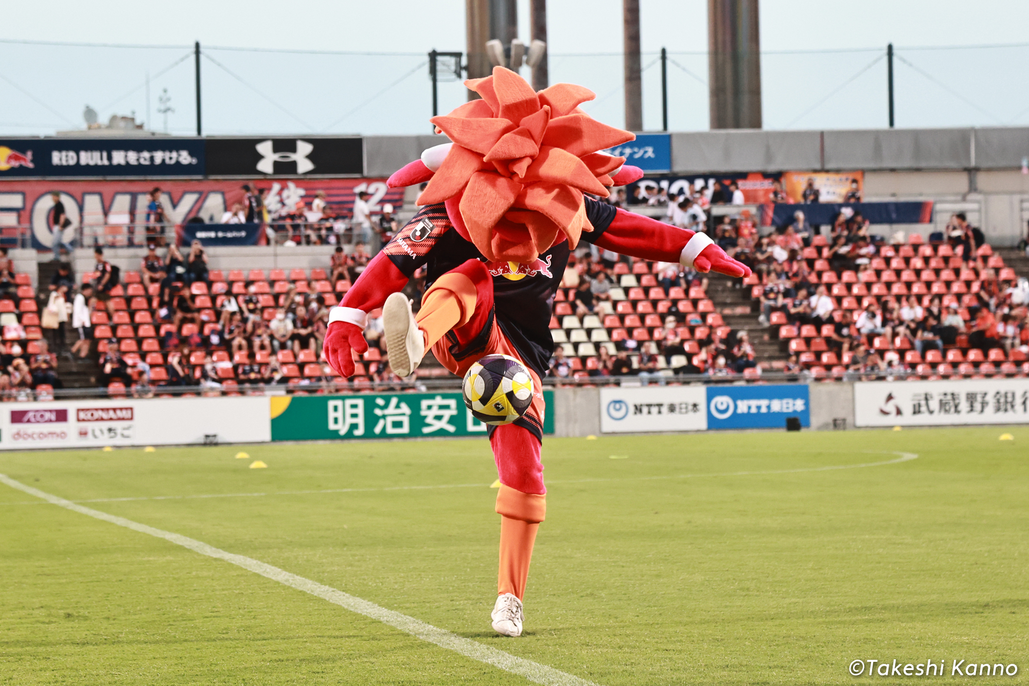 bululu-ardija-2