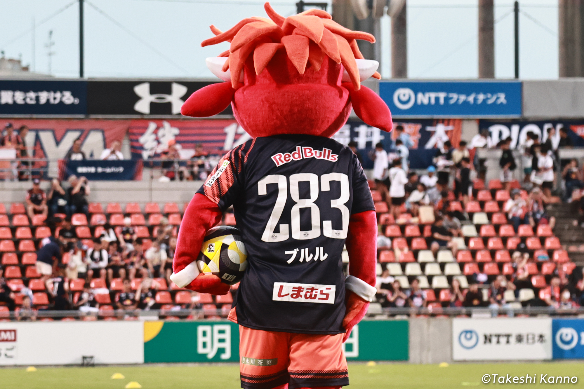 bululu-ardija-3