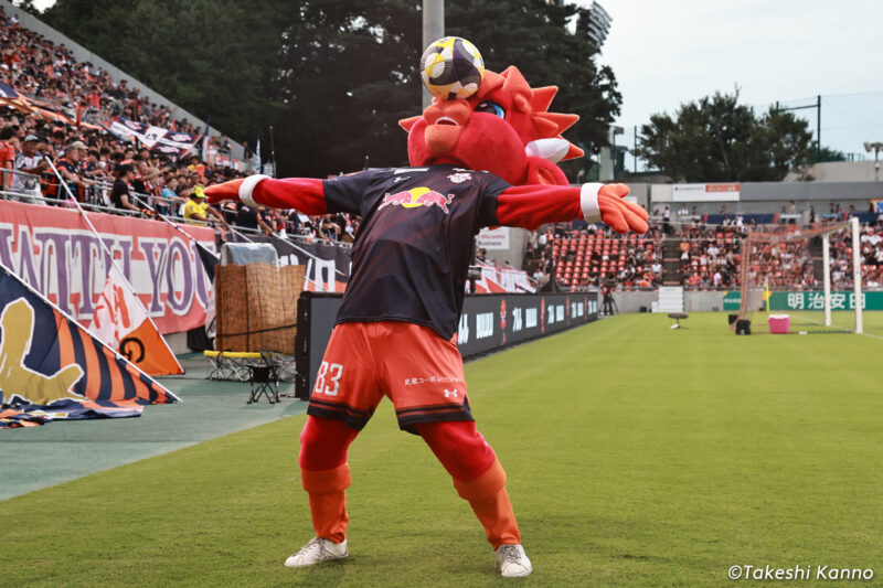 bululu-ardija-4