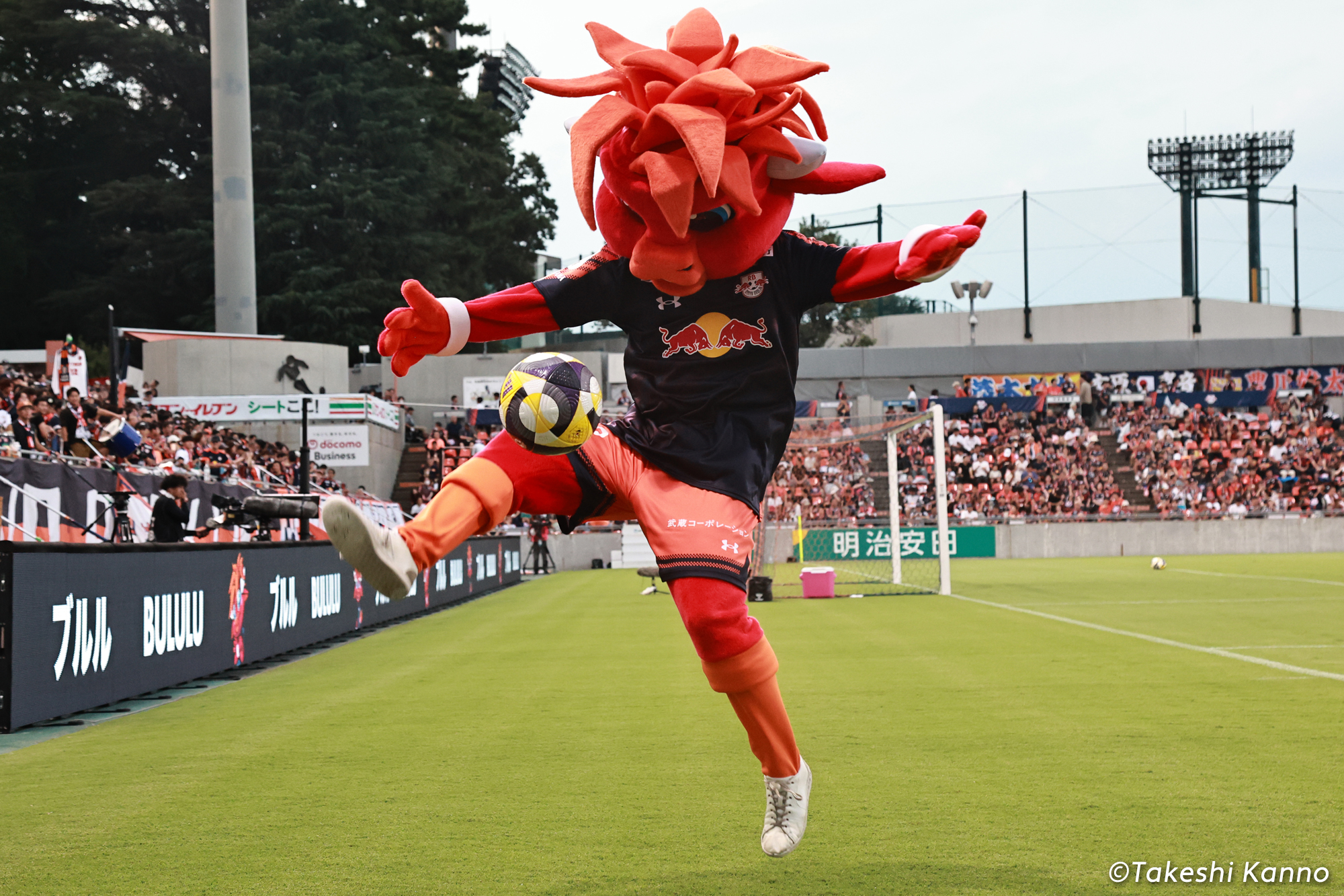 bululu-ardija-5