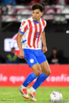 ディエゴ・ゴメスのプロフィール写真