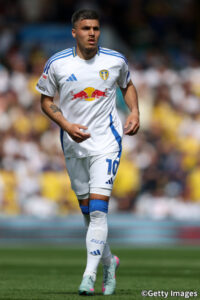 ヨエル・ピルー