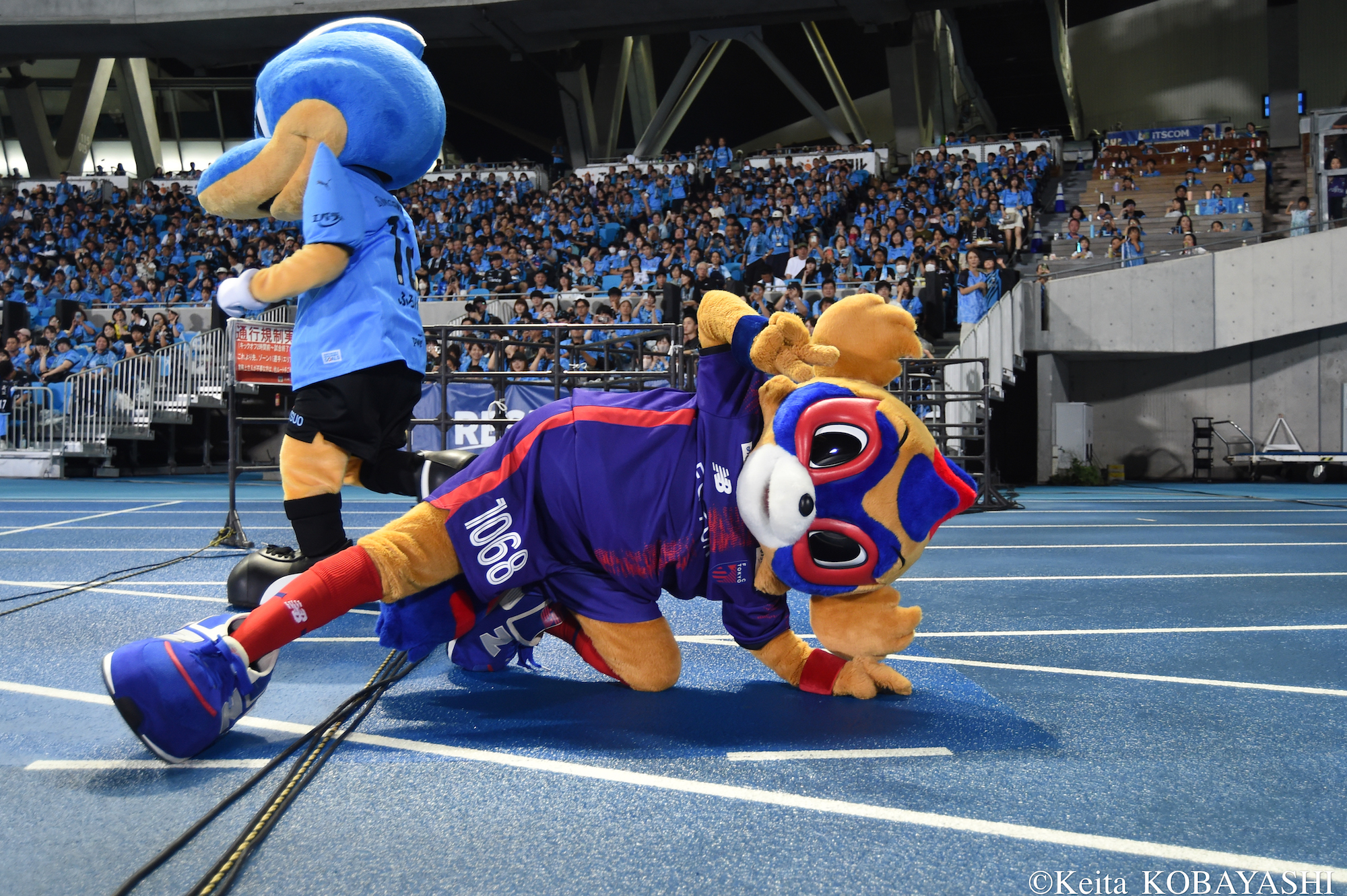 DSC_8842のコピー