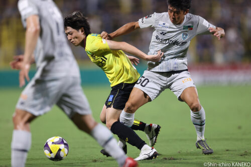 2025.08.31_19_kaneko